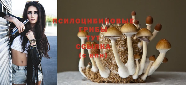 метамфетамин Козловка