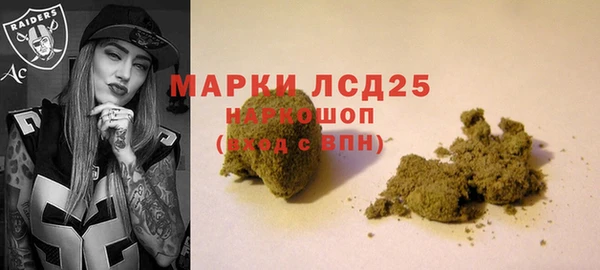 гашик Козельск