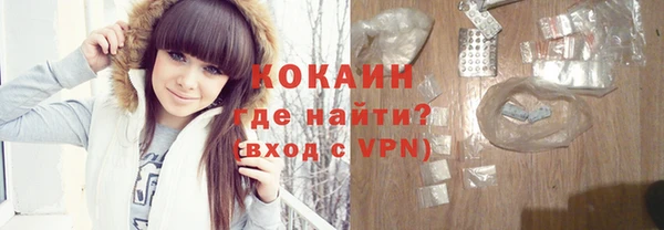 гашик Козельск