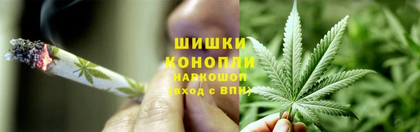гашик Козельск