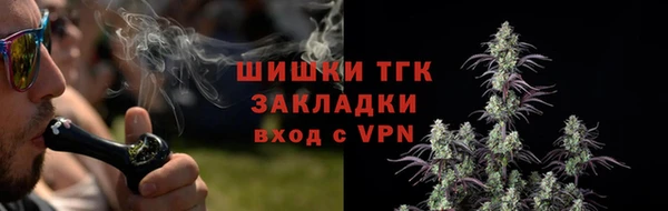 гашик Козельск