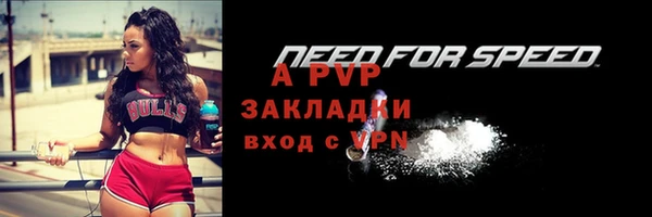 гашик Козельск