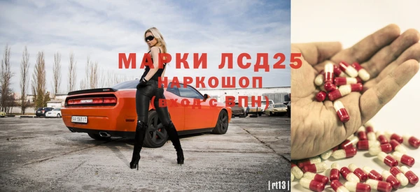 гашик Козельск