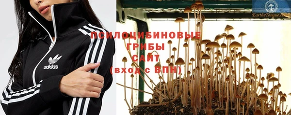 твердый Кодинск