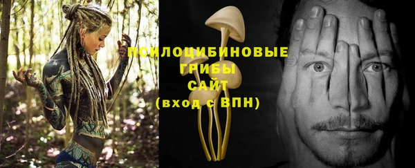 шишки Корсаков