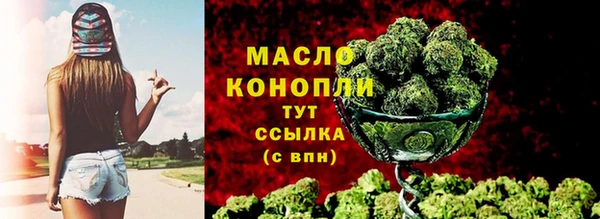 гашик Козельск