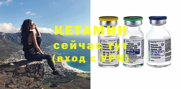 шишки Корсаков