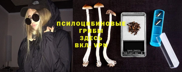 гашик Козельск