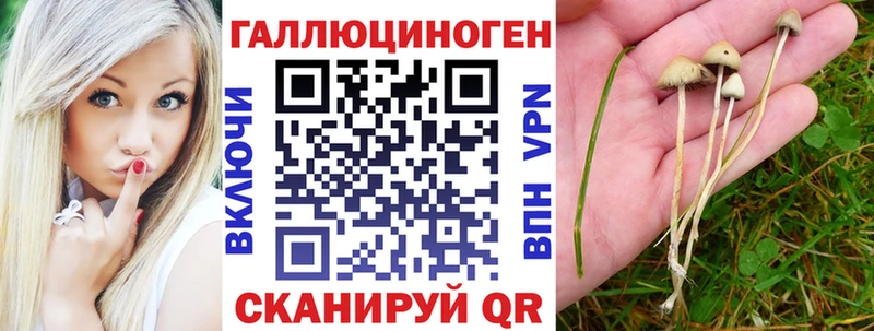 Псилоцибиновые грибы прущие грибы  Купить закладки  Берёзовский 