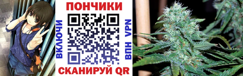 Купить где Берёзовский Марихуана конопля